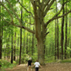 Meet your Posher, Melody